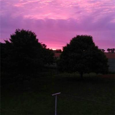 博鱼(boyu)·体育app下载